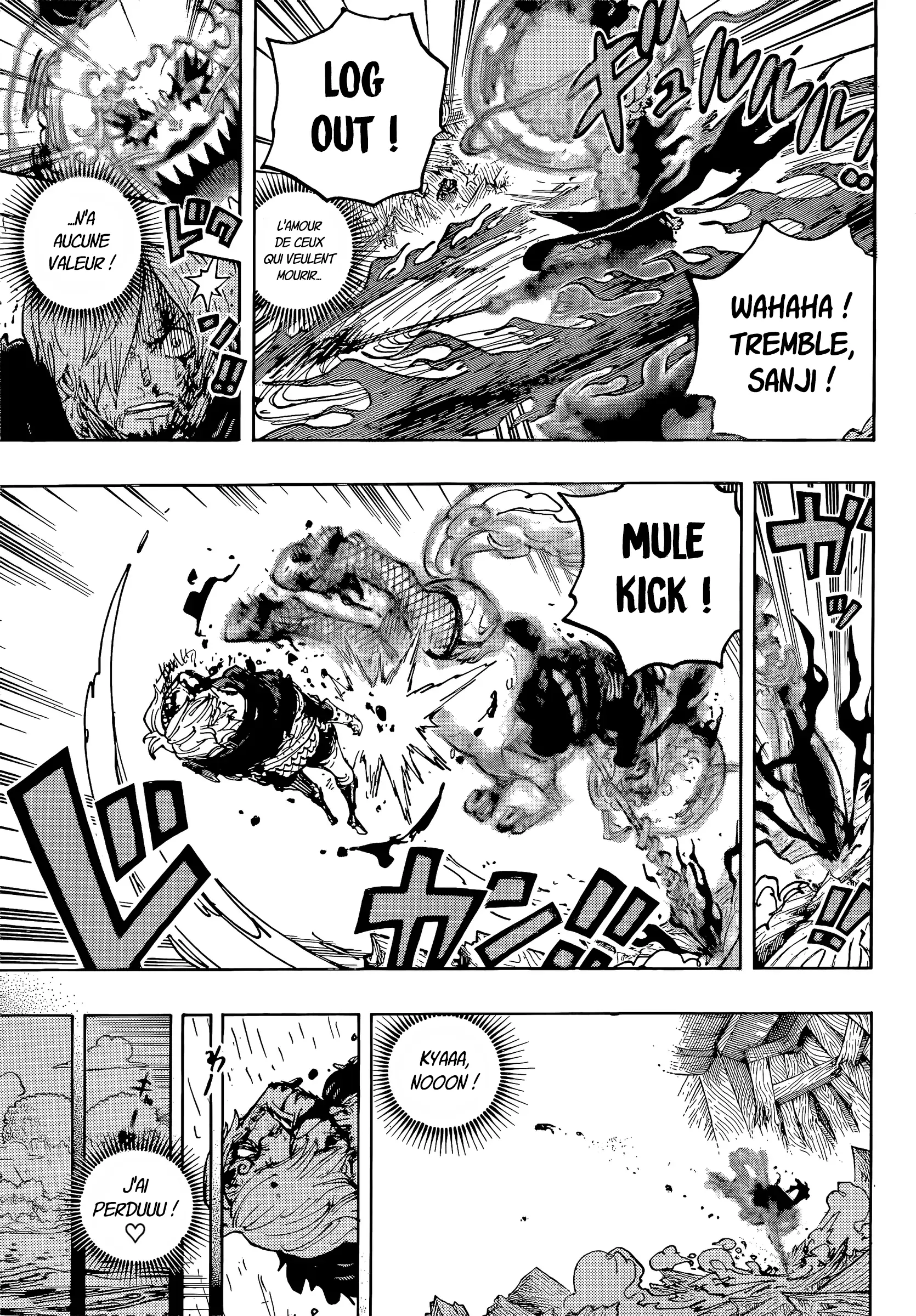       One   Piece Un amour mortel est sans valeur Page 12